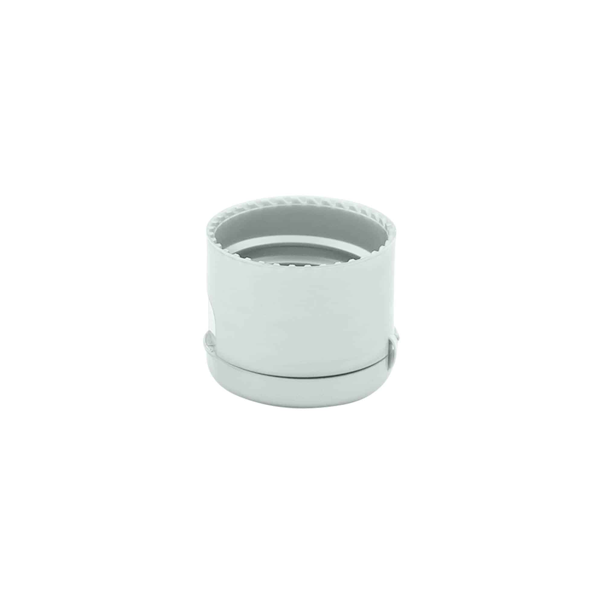 Schraubverschluss Klappscharnier , PP-Kunststoff, silber, für Mündung: 24/410 Schraubverschluss Klappscharnier , PP-Kunststoff, silber, für Mündung: 24/410